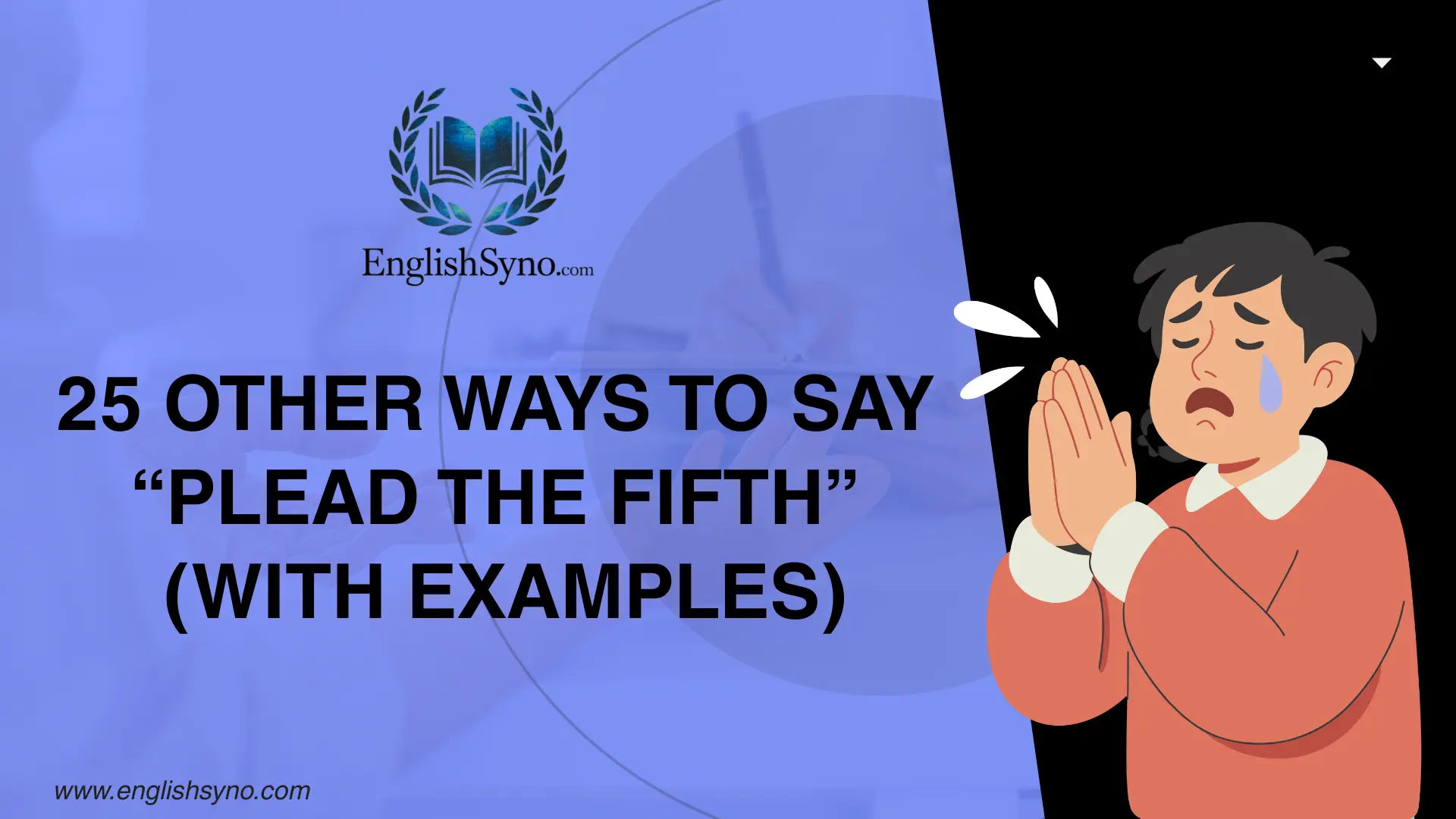 ways-to-say-plead-the-fifth