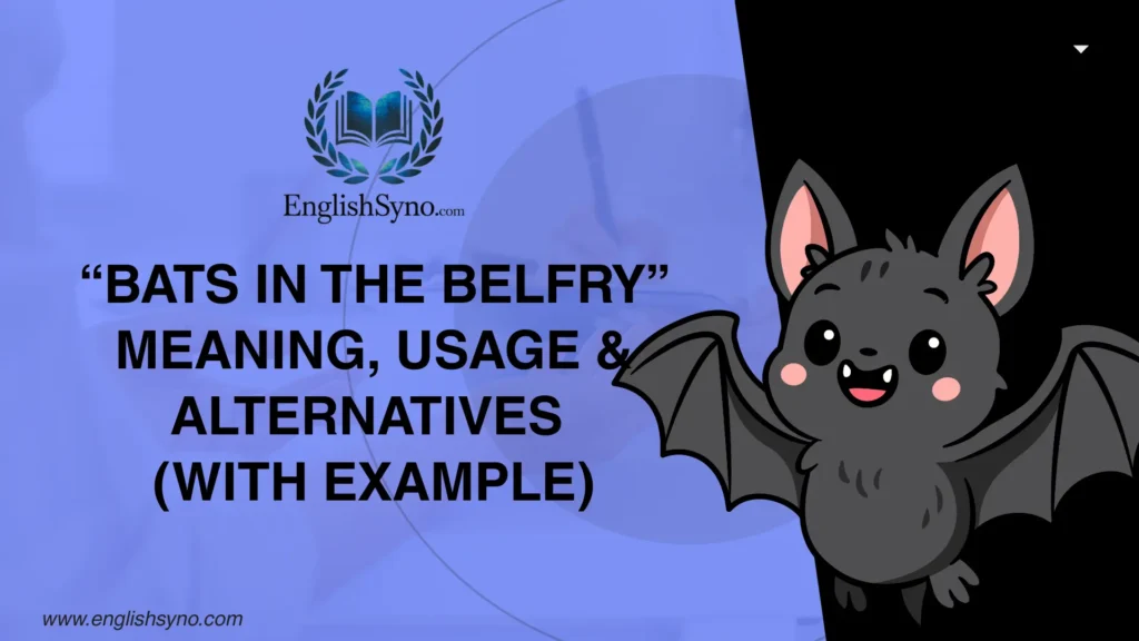 bats-in-the-belfry-meaning-usage-and-alternatives