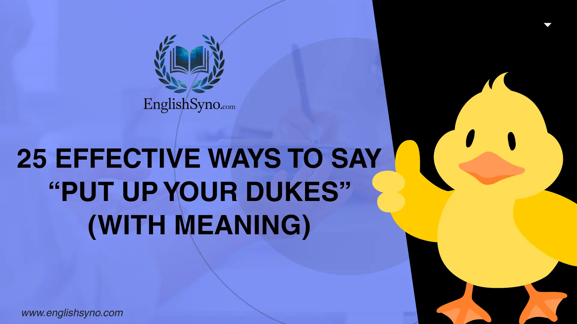effective-ways-to-say-put-up-your-dukes