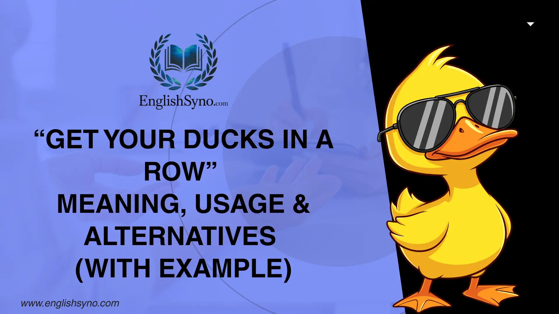 get-your-ducks-in-a-row-meaning-usage-and-alternatives