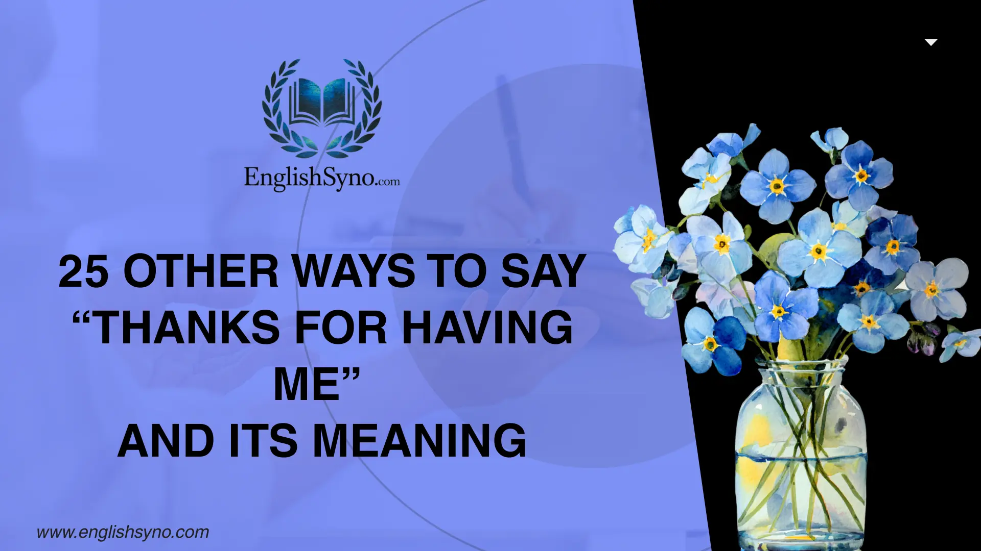 other-ways-to-say-thanks-for-having-me