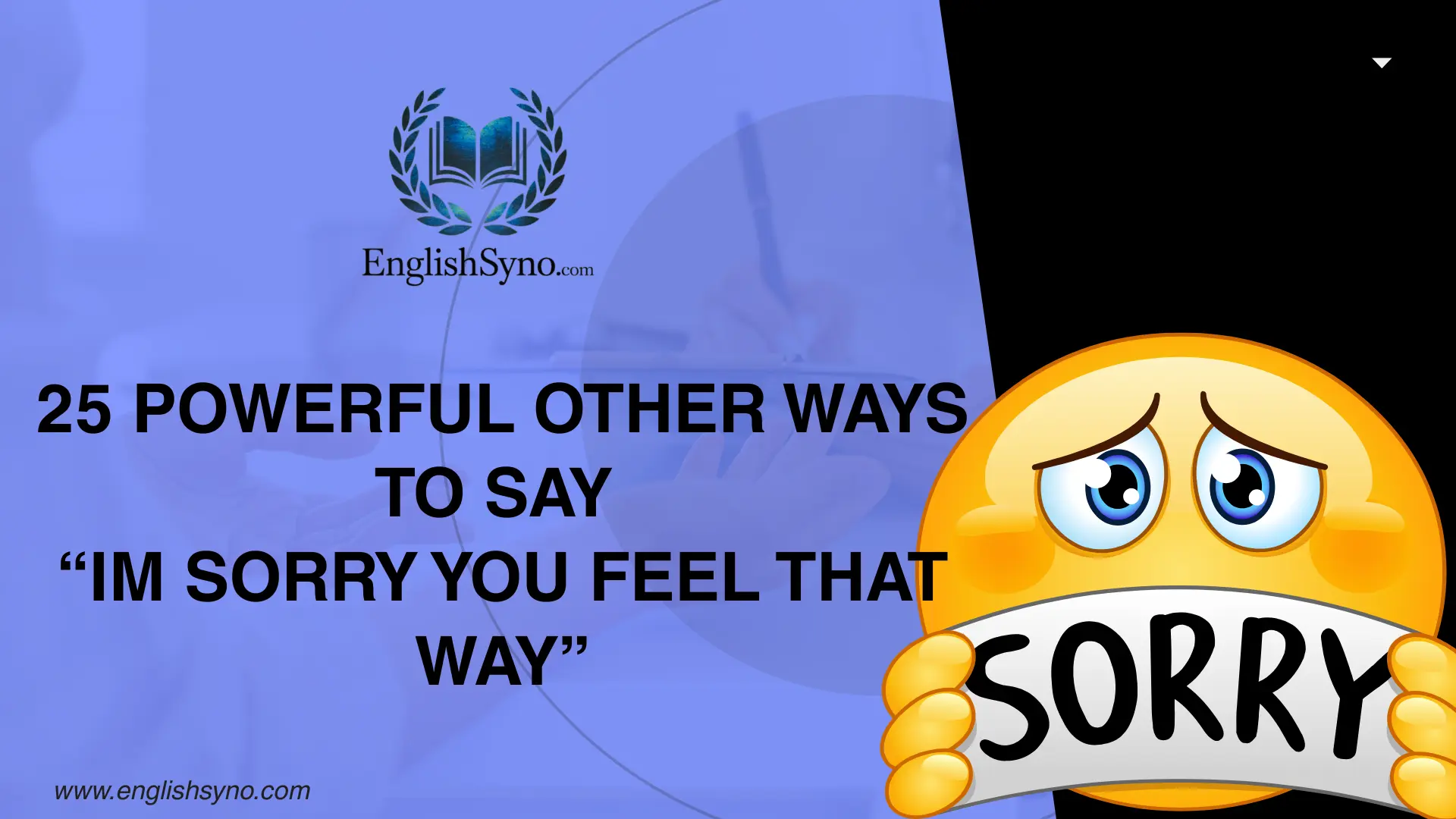 powerful-other-ways-to-say-im-sorry-you-feel-that-way