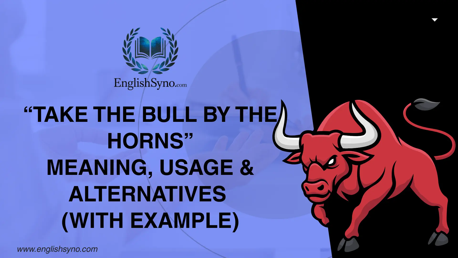 take-the-bull-by-the-horns-meaning-usage-and-alternatives