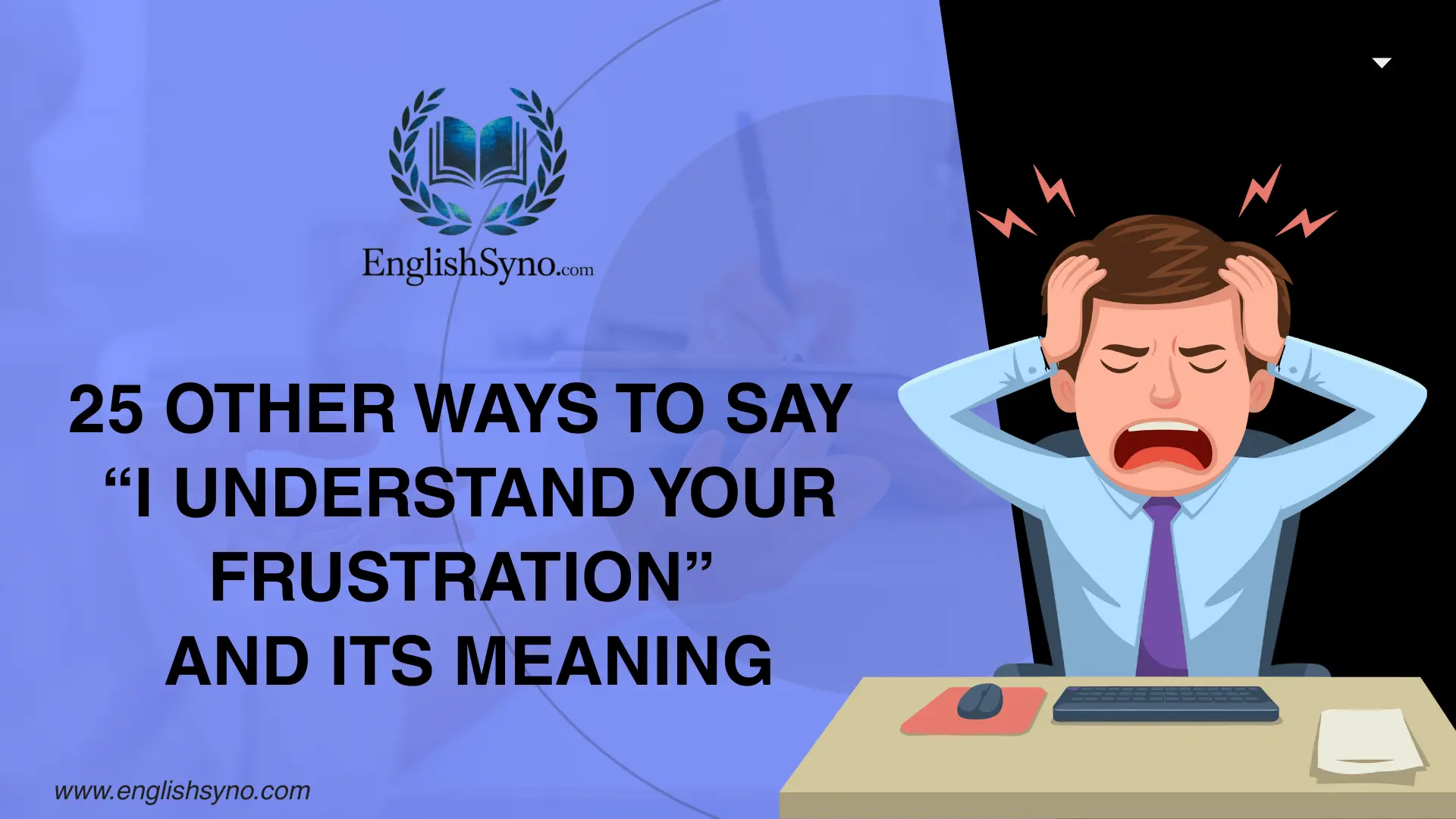 ways-to-say-i-understand-your-frustration-and-meaning