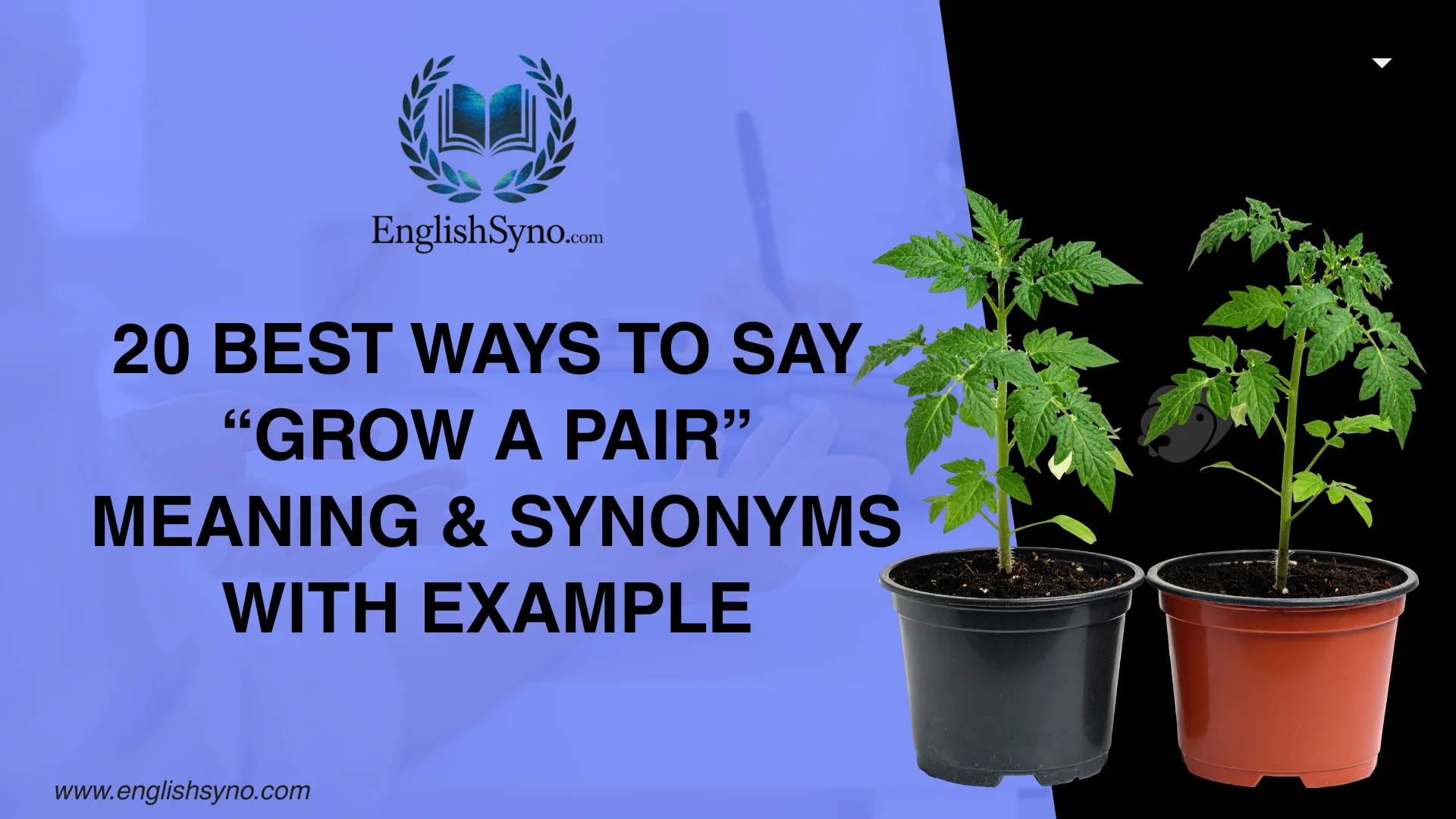 ways-to-say-grow-a-pair-meaning-and-synonyms