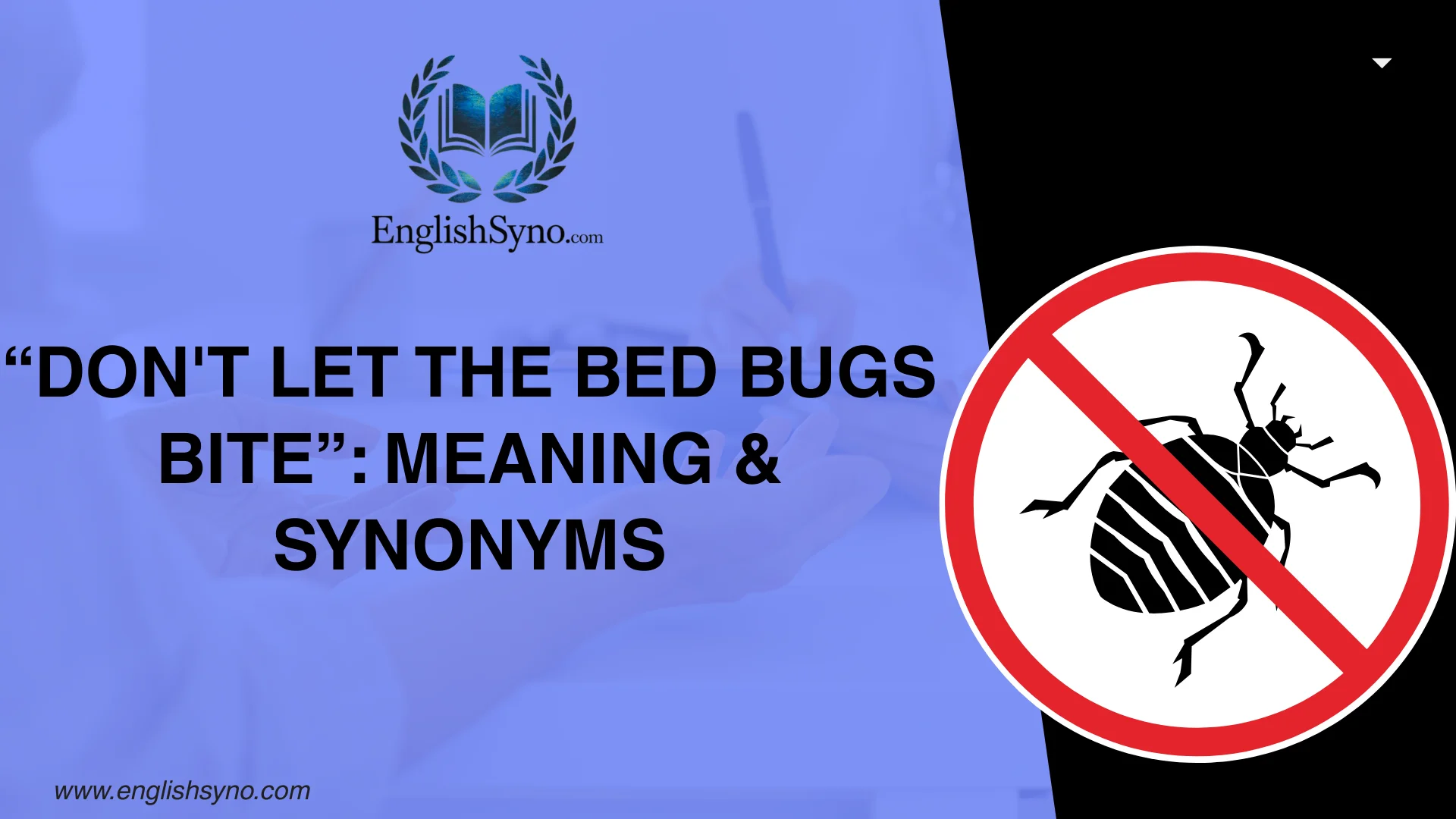 "Don't Let The Bed Bugs Bite": Meaning & Synonyms, Usage Guide (2026)